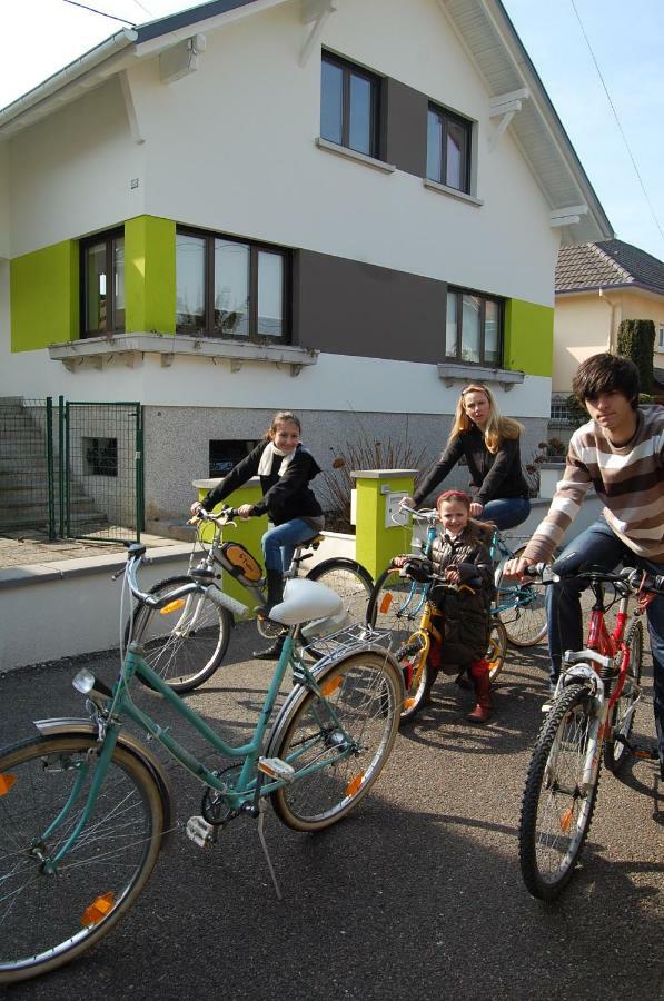 Villa Bonheur Illfurth Alsace 4 Chambres Екстериор снимка