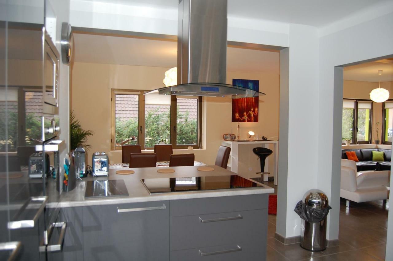 Villa Bonheur Illfurth Alsace 4 Chambres Екстериор снимка