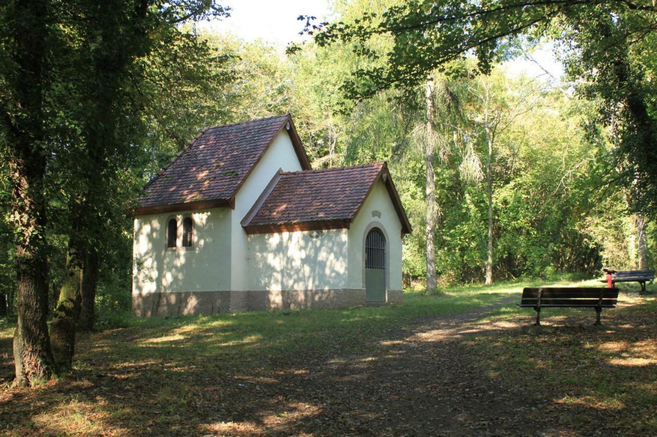 Villa Bonheur Illfurth Alsace 4 Chambres Екстериор снимка